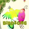 Birdsong