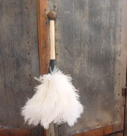 Cream Feather Duster
