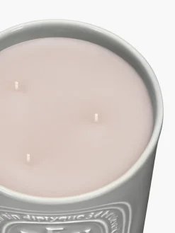 Feu De Bois Large 600g Candle