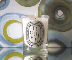"Figuier" Candle