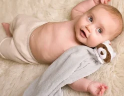 Grey Raccoon Blankie