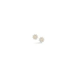 Jennifer Yamina Pointed Flower Studs in Yellow Gold