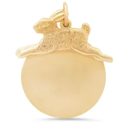 Lucky Rabbit Medallion