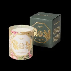 Museum Edition Scented Candle in Acacia