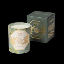 Museum Edition Scented Candle in Absinthe