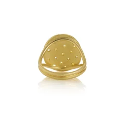 Orbital Diamond Ring in Yellow Gold