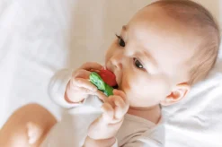 Ramonita the Radish Bath Toy