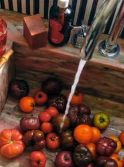 Roma Heirloom Tomato Dish Soap