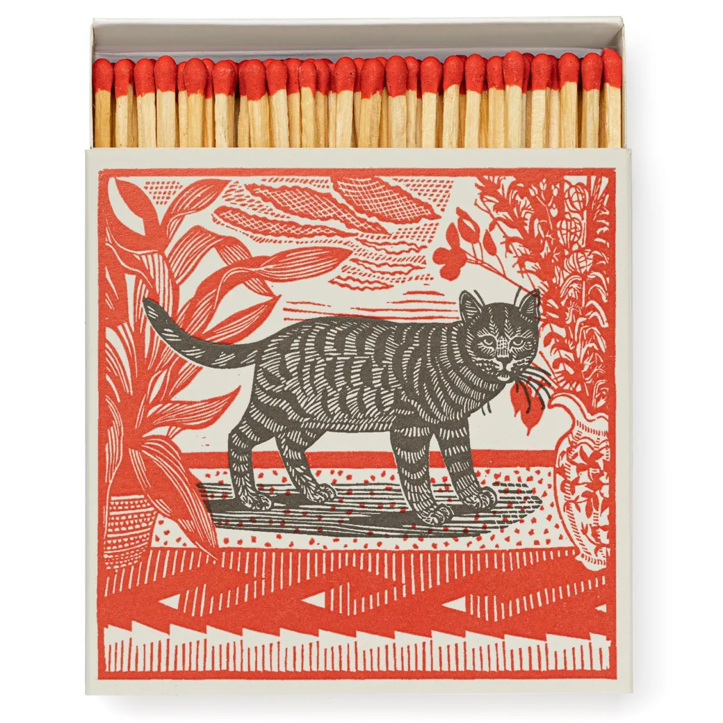 Sasha the Cat - Safety Matches