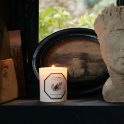 Scented Candle in Cypress
