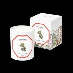 Scented Candle in Fig