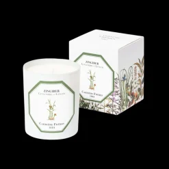 Scented Candle in Ginger