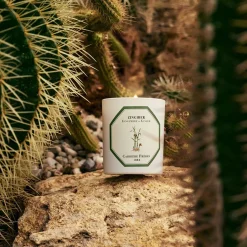 Scented Candle in Ginger