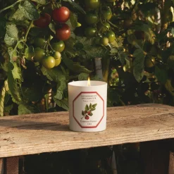 Scented Candle in Tomato