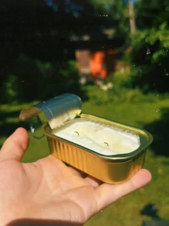 Tinned Fish Candle in Citronella